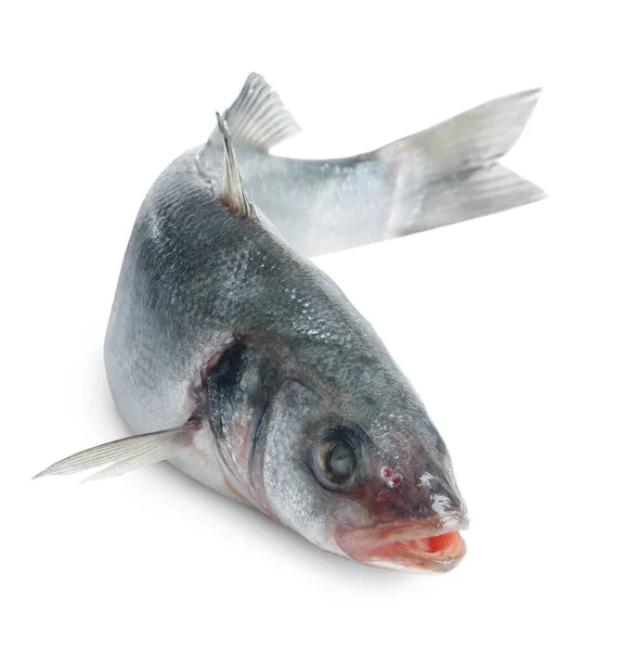 Λαβράκι Φρέσκα Ψάρια Που Απομονώνονται Λευκό — Φωτογραφία Αρχείου