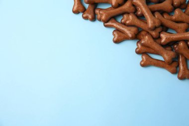 Bone shaped dog cookies on light blue background, flat lay. Space for text
