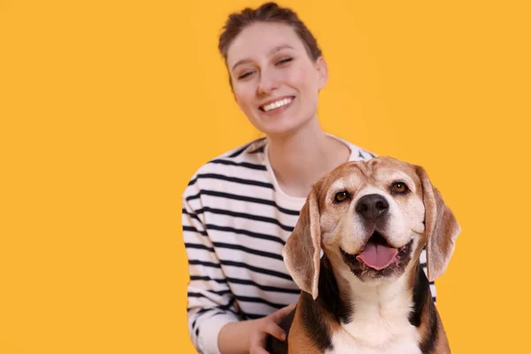 快乐的年轻女人和可爱的小猎犬在橙色背景下 有选择的焦点 可爱的宠物 — 图库照片