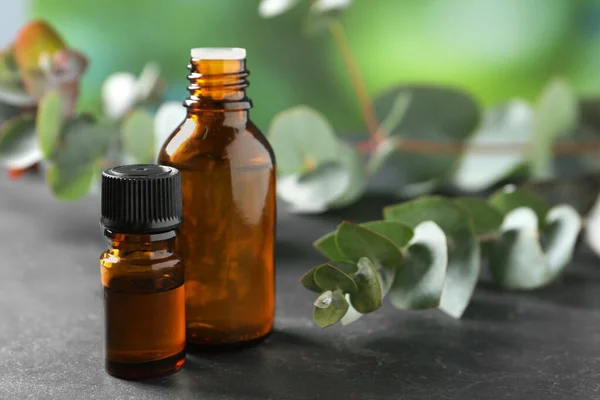 Bottles Eucalyptus Essential Oil Plant Branches Grey Table Space Text — Stock Photo, Image