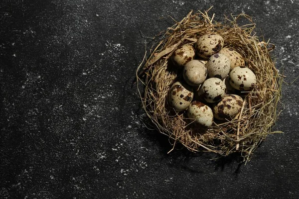 stock image Nest with many speckled quail eggs on black textured table, top view. Space for text