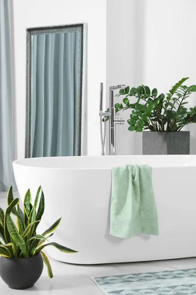 Elegante Bañera Blanca Plantas Interior Verdes Baño Diseño Interiores —  Fotos de Stock