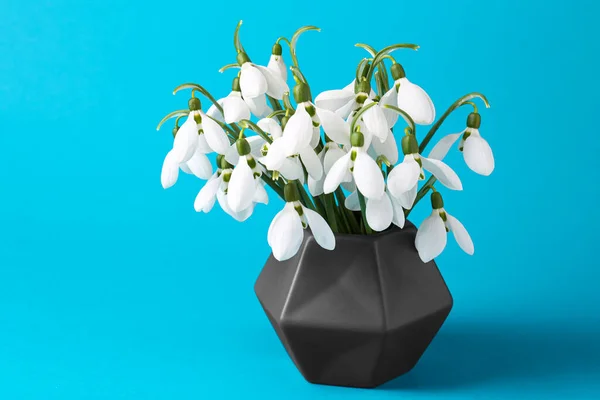 Beautiful snowdrops in vase on light blue background
