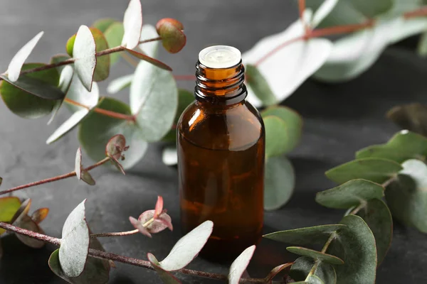 Eine Flasche Ätherisches Eukalyptusöl Und Pflanzenzweige Auf Grauem Tisch — Stockfoto