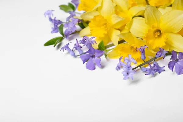 Güzel Sarı Nergisler Beyaz Arka Planda Menekşe Çiçekleri Metin Için — Stok fotoğraf