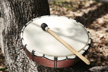 Ağaç kabuğunda tokmakla davul. Perküsyon müzik aleti
