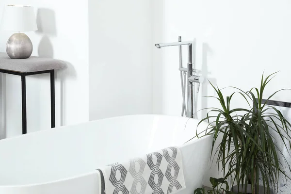 浴室里有时尚的白色浴缸和绿色的室内植物 室内设计 — 图库照片