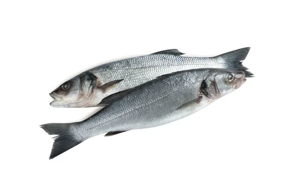 Свіжа Морська Басова Риба Білому Тлі Вид Зверху — стокове фото