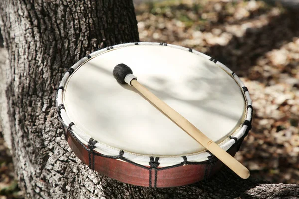 户外用木槌在树皮上打鼓 打击乐器 — 图库照片