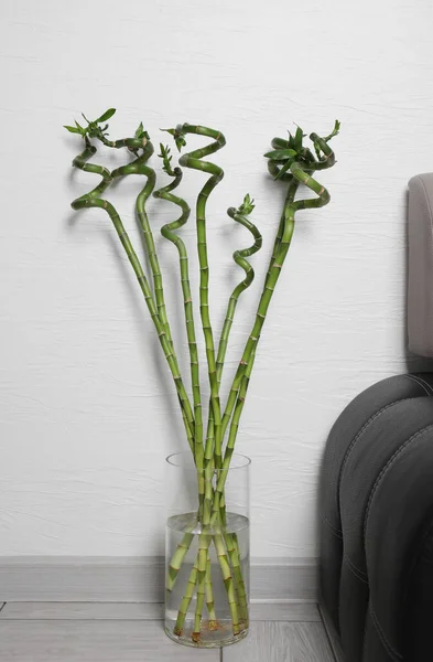 Vase Avec Belles Tiges Bambou Vert Près Canapé Intérieur — Photo