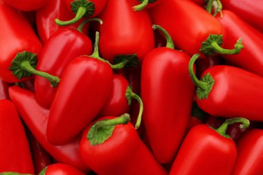 Arka plan olarak kırmızı kırmızı kırmızı biber, üst görünüm