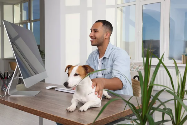 Young man with Jack Russell Terrier working at desk in home office