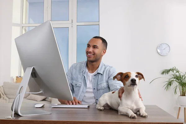 Junger Mann Mit Jack Russell Terrier Schreibtisch Home Office — Stockfoto