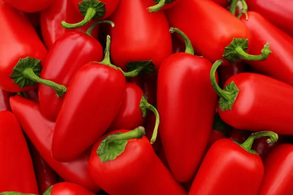 Rode Hete Chili Pepers Als Achtergrond Bovenaanzicht — Stockfoto