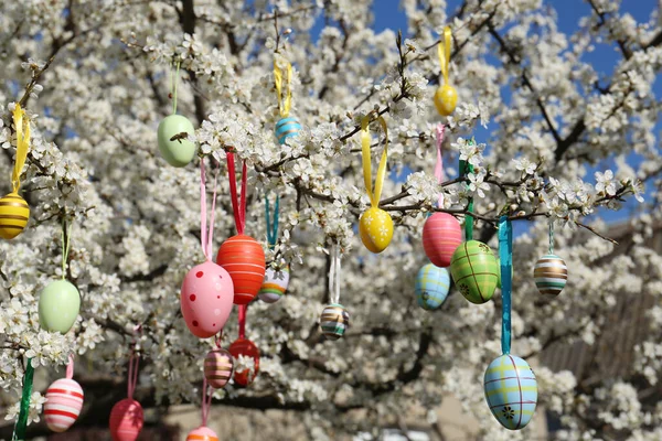 Красиво Пофарбовані Великодні Яйця Звисають Квітучому Вишневому Дереві Відкритому Повітрі — стокове фото