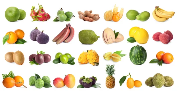 Collage Con Muchas Frutas Exóticas Frescas Sobre Fondo Blanco —  Fotos de Stock