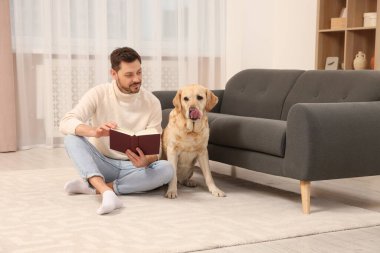 Adam yerde kitap okuyor. Evindeki şirin Labrador Retriever 'ının yanında.