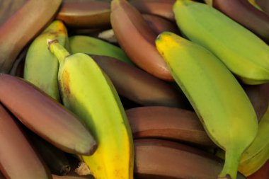 Different types of bananas as background, top view