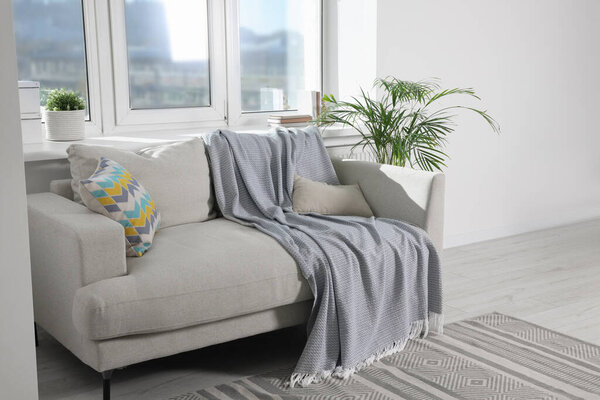 Cosy living room with sofa and plant near window. Interior design
