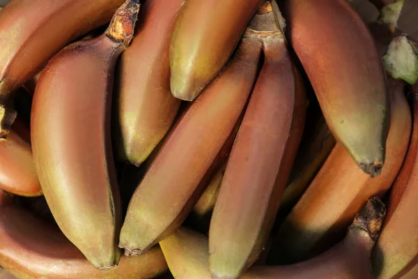 Deliciosas Bananas Roxas Como Fundo Vista Superior — Fotografia de Stock