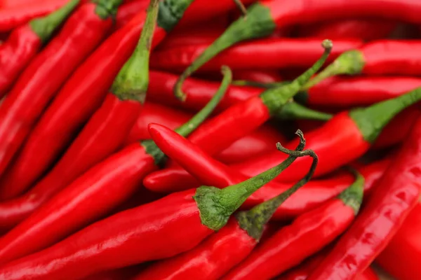 stock image Red hot chili peppers as background, closeup