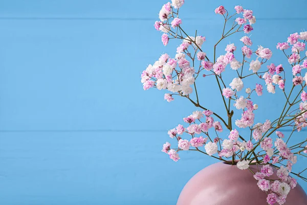 Beautiful dyed gypsophila flowers in pink vase against light blue background. Space for text