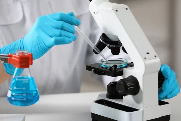 Laboratuvarda Mikroskopla Çalışırken Petri Kabına Örnek Damlatan Bilim Adamı Yakın — Stok fotoğraf