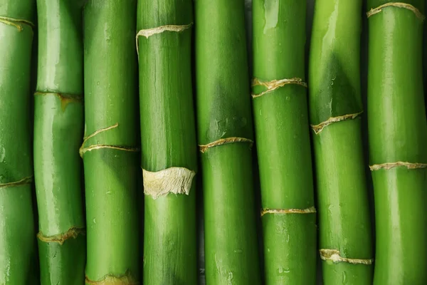 Trozos Hermosos Tallos Bambú Verde Húmedo Como Fondo Vista Superior —  Fotos de Stock