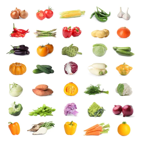 Collage Many Fresh Vegetables White Background Stock Photo