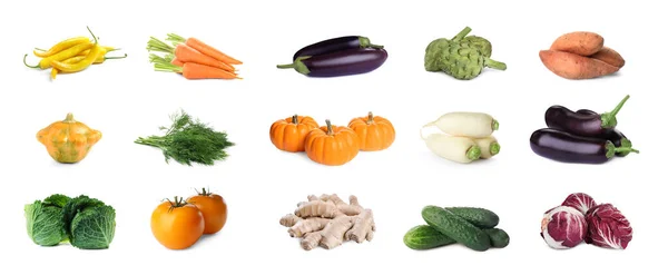 Коллаж Большим Количеством Свежих Овощей Белом Фоне — стоковое фото