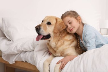 Evde yatakta sevimli köpeğiyle genç bir kız. Metin için boşluk