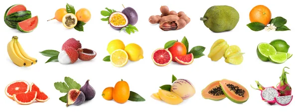 Collage Con Muchas Frutas Exóticas Frescas Sobre Fondo Blanco —  Fotos de Stock
