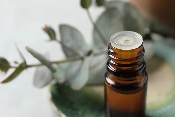 Bottle Eucalyptus Essential Oil Blurred Background Closeup Space Text — Stock Photo, Image