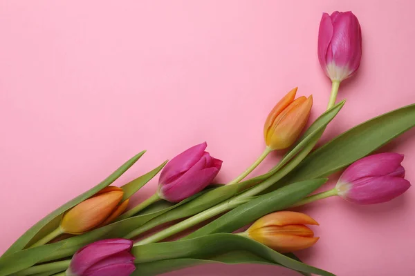 stock image Beautiful tulips on pink background, flat lay. Space for text