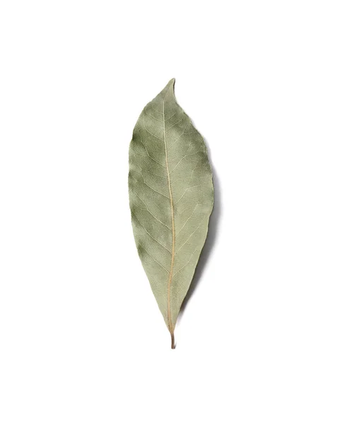 One Aromatic Bay Leaf White Background Top View — Stock Photo, Image