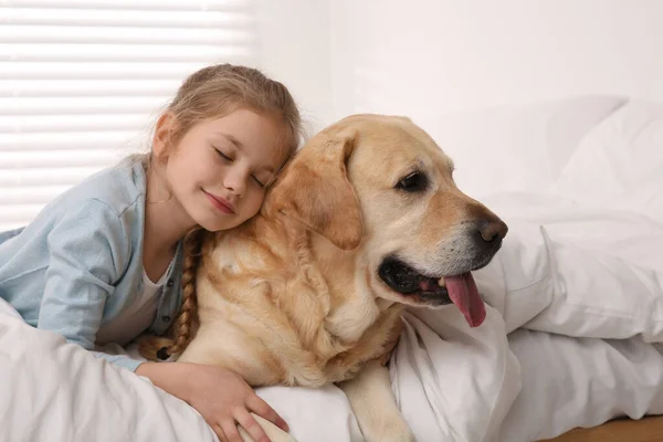 Jovem Com Seu Cão Adorável Cama Casa — Fotografia de Stock