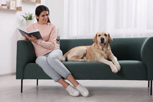 Glückliche Frau Sitzt Mit Niedlichem Labrador Retriever Auf Sofa Hause — Stockfoto