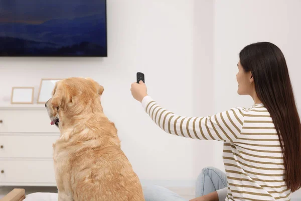 stock image Happy woman turning on TV near cute Labrador Retriever at home, back view