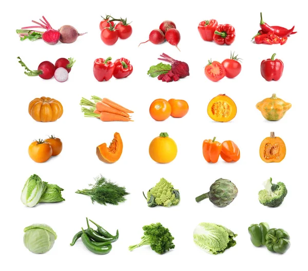 Koláž Mnoha Čerstvé Zeleniny Bílém Pozadí — Stock fotografie