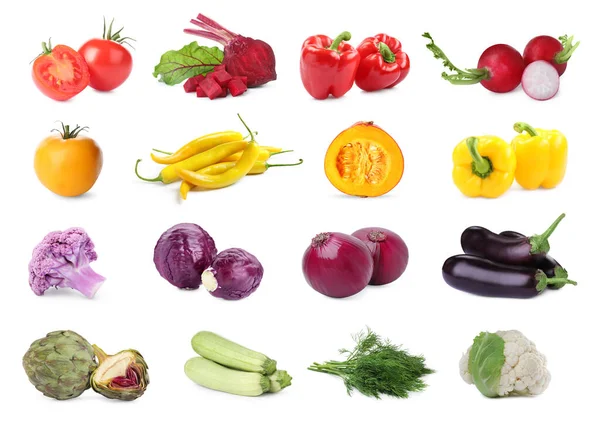 Collage Con Muchas Verduras Frescas Sobre Fondo Blanco — Foto de Stock