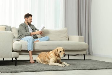 Evdeki şirin Labrador Retriever 'ının yanındaki kanepede kitap okuyan adam. Metin için boşluk