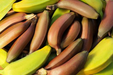 Different types of bananas as background, top view