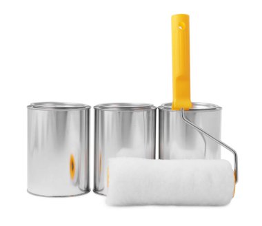 Beyaz arkaplanda boya ve silindir kutuları