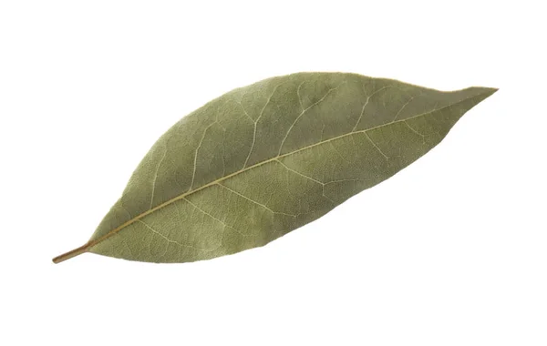One Aromatic Bay Leaf Isolated White — Stock Photo, Image