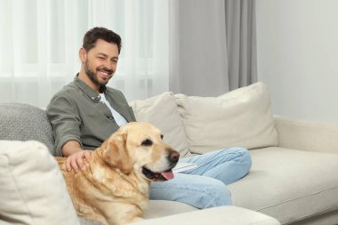 Evdeki şirin Labrador Retriever 'ının yanındaki kanepede kitap okuyan adam. Metin için boşluk