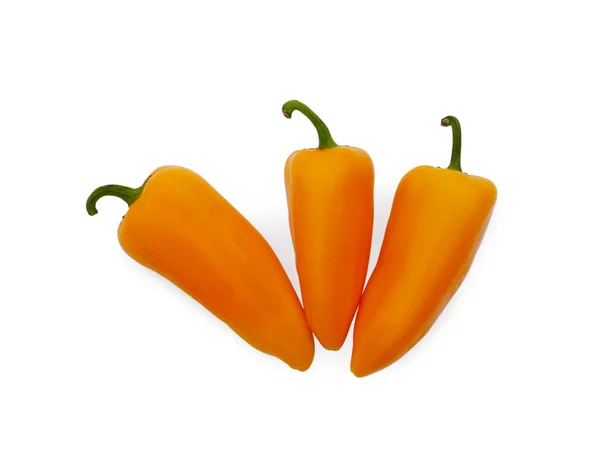 Fresh Raw Orange Hot Chili Peppers White Background Top View — Photo