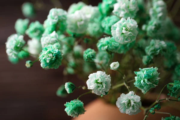 Vackra Färgade Zigenare Blommor Brun Bakgrund Närbild — Stockfoto