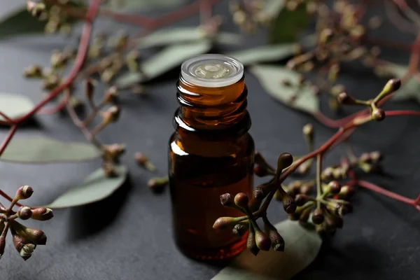 Botol Minyak Esensial Eukaliptus Dan Tanaman Cabang Atas Meja Abu — Stok Foto
