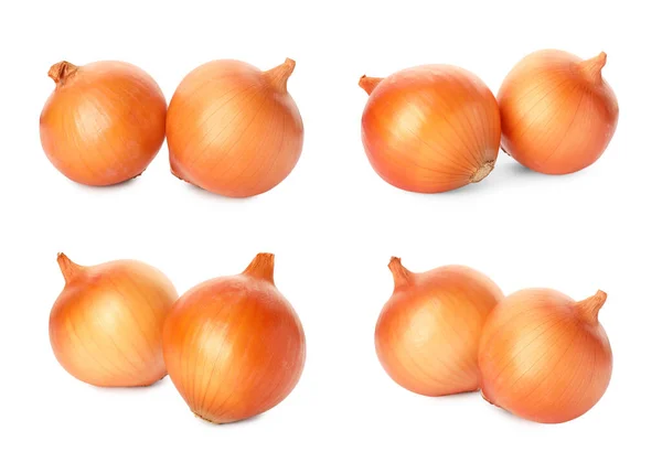 Viele Frische Zwiebelzwiebeln Isoliert Auf Weiß Collage Design — Stockfoto