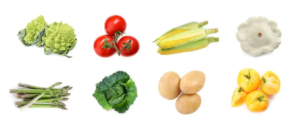 Collage Con Muchas Verduras Frescas Sobre Fondo Blanco — Foto de Stock